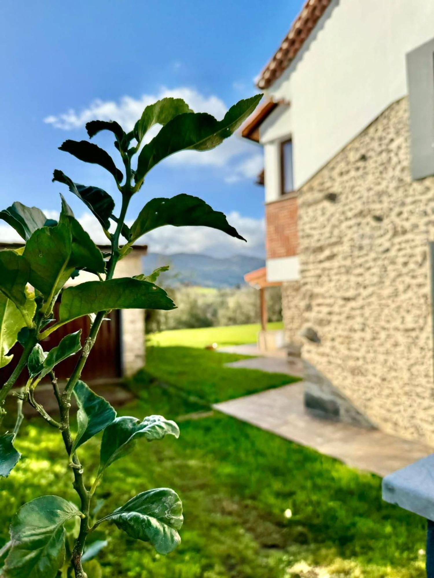 Apartment Terradeva *